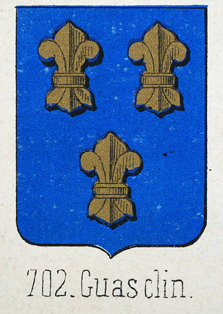 istock Medieval heraldry, Coat of arms, Shield with, Three, Gold, fleur de lis, blue, Spanish, Vintage illustration 2252211015