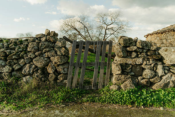 An old wooden gate set into a stone wall, highlighting aging materials, rural craftsmanship, and the passage of time in the countryside.