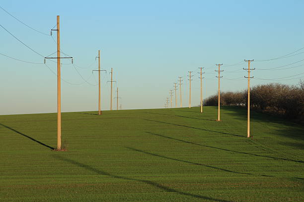 A grassy field with power lines with Codrington Wind Farm in the background. Grass. Sky. Outdoor. Field. Railroad