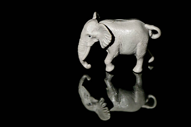 istock Toy elephant on a black glass background 2252214418