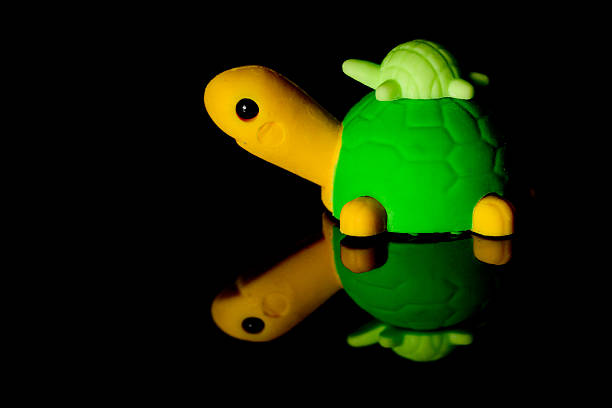 Plastic Childrens toy turtle shot against a black background