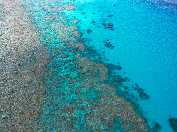istock Turquoise Water and Coral Reef Texture from Above 2252216857