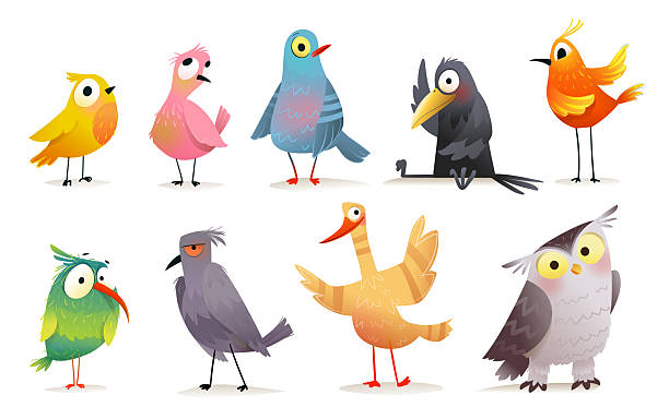 istock Colorful Cartoon Birds Collection for Children 2252218638