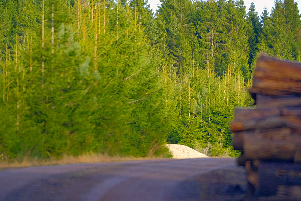Large truck with freshly sawn wood on the road. Transportation of timber on a truck on the mountain road