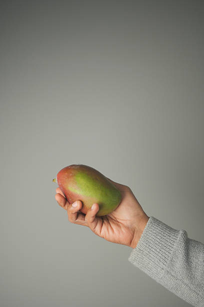istock Hand holding a fresh mango against a gray background 2252229069