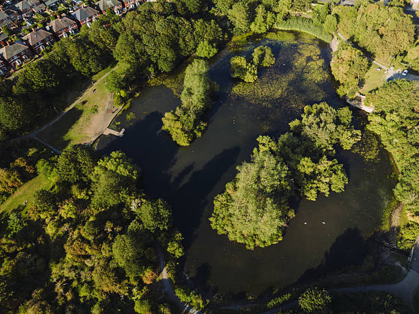 Marden Quarry Nature Reserve drone view on sunny day