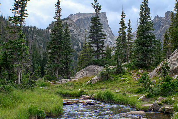 View of Mountains while hiking on the trail up to Emerald Lake in Rocky Mountain National Park