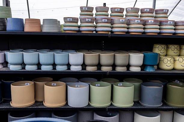 istock Ceramic Plant Pots Displayed in Flower Shop Interior, Modern Retail Shelving 2252243900