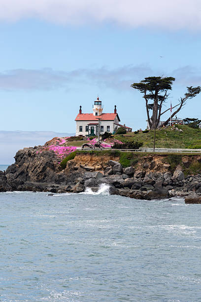 istock Crescent City lighthouse with pink flowers 2252246245