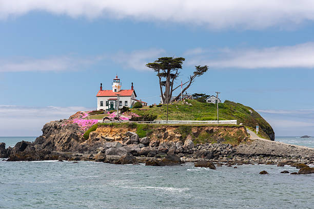 istock Crescent City lighthouse with pink flowers 2252246246