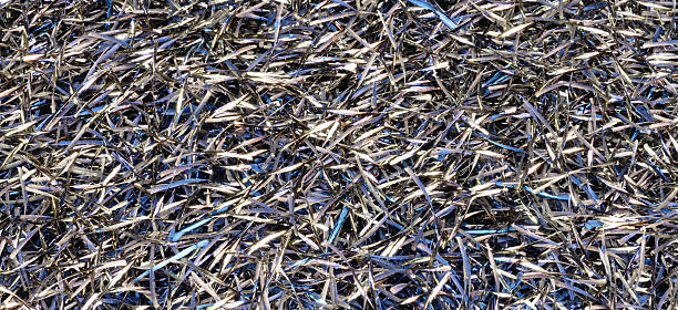 istock Metal shavings from metalworking operations as a textured abstract background for web banner template page design 2252246381
