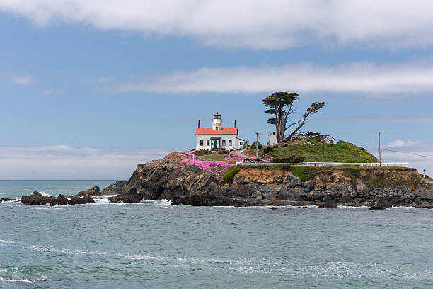 istock Crescent City lighthouse with pink flowers 2252246496