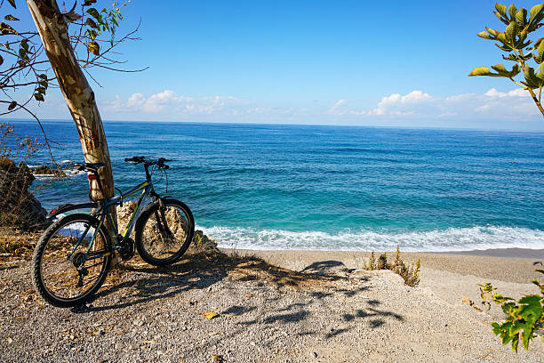 Mountain bike leaning against a tree above the turquoise sea under a clear blue sky. Bright sunlight creates a calm summer atmosphere on the coast.