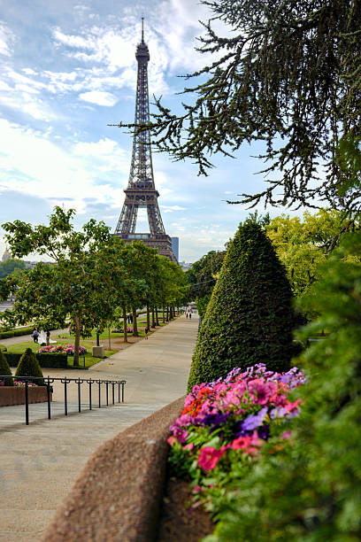 Eiffel Tower seen from park walkway with flowers in Paris France