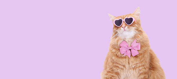 istock Stylish Ginger Cat Wearing Heart-Shaped Sunglasses 2252260007