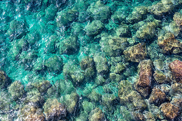 Sea bay with turquoise crystal clear water. Adriatic Sea, South of Croatia - Peliesac peninsula.