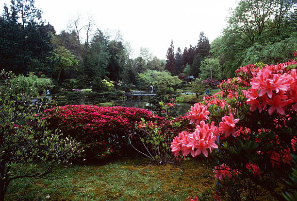 An assortment of colorful flowers and trees in Beacon Hill Park.