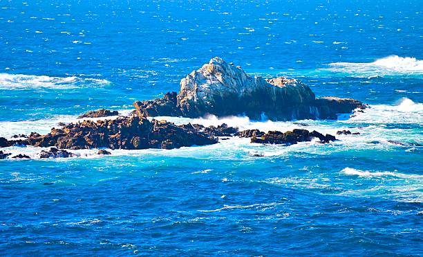 Big Sur is a rugged and mountainous section of the Central Coast of California.The Pacific Ocean meets the Santa Lucia Mountains with State Route 1 constructed on the towering seaside cliffs.