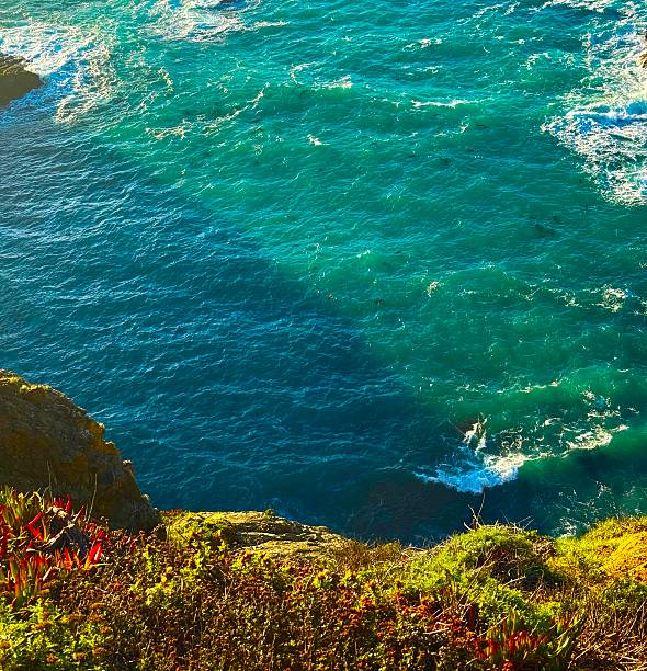 Big Sur is a rugged and mountainous section of the Central Coast of California.The Pacific Ocean meets the Santa Lucia Mountains with State Route 1 constructed on the towering seaside cliffs.