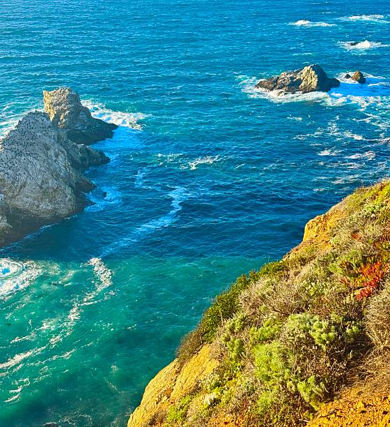 Big Sur is a rugged and mountainous section of the Central Coast of California.The Pacific Ocean meets the Santa Lucia Mountains with State Route 1 constructed on the towering seaside cliffs.