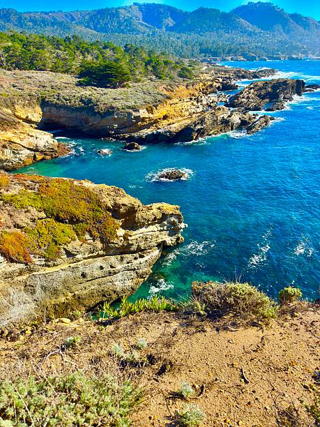 istock Big Sur, California 2252266382