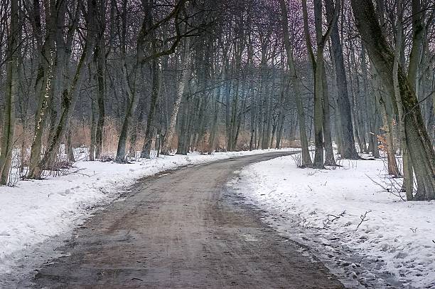 Englischer Garten during the winter in Munich, Germany