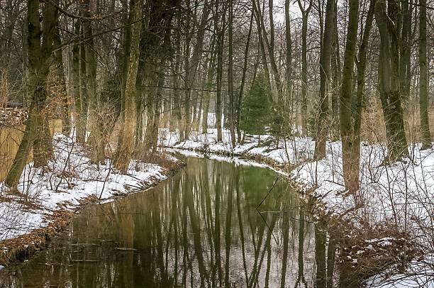 Englischer Garten during the winter in Munich, Germany