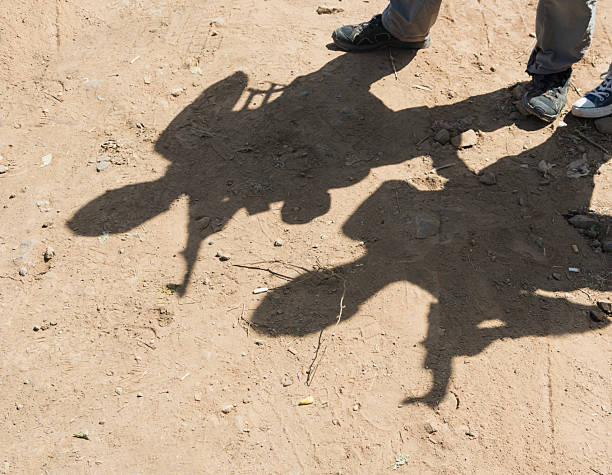 Shadow of two soldiers, holding weapons, on desert