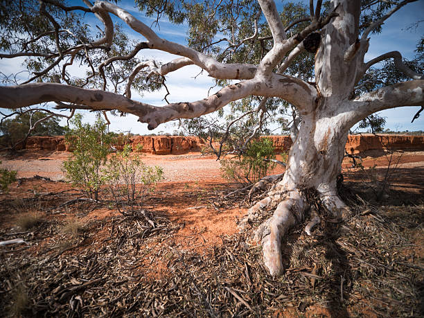 Outback NSW desert scenes