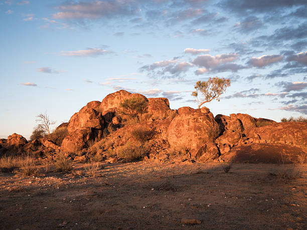 One tree and large rocks in a rocky landscape at sunset with a cloudy sky