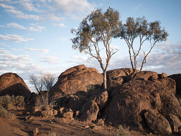 Devil's Marbles/Karlu Karlu during blue hour, Northern Territory, Australia