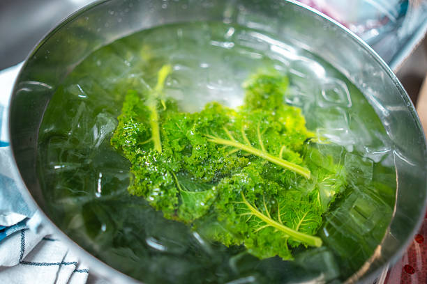 Close-up shot of vibrant curly kale leaves submerged in clear cold water, highlighting the cooking process in a stainless steel professional kitchen pot.