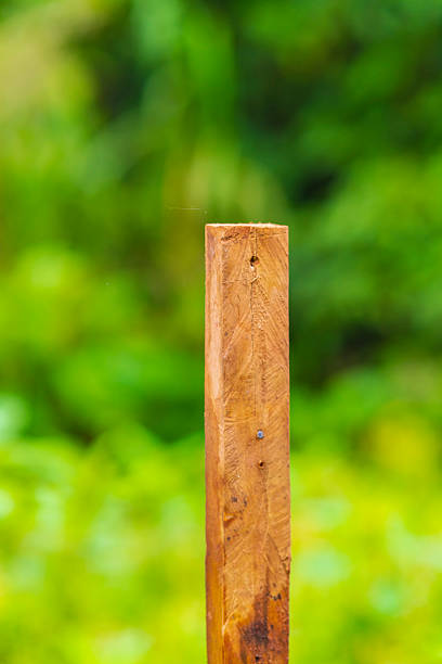 istock Weathered wooden post in close-up against soft green blurred background 2252278424
