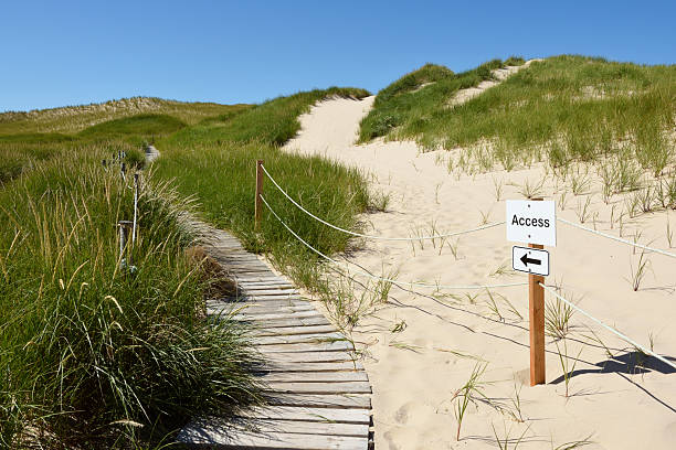 istock Sand dune of a beach 2252279778