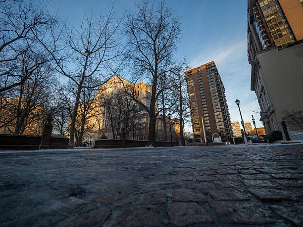 Bare trees frame a city skyline, creating a serene urban scene during early morning light.