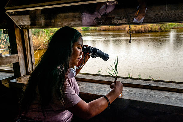 istock Young woman birdwatching and writing notes at lake 2252286763