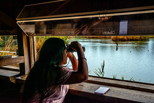 istock Young woman birdwatching from wooden bird hide 2252286768