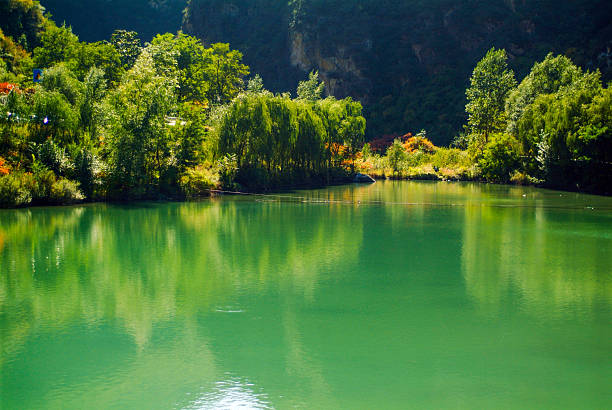 A serene lake with vibrant green water reflects surrounding lush trees and foliage. The tranquil scene showcases nature’s beauty, ideal for outdoor recreation and eco-tourism.
