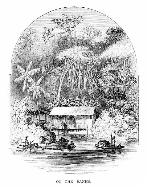 Life on the Para estuary, Breves, Marajó Island, Brazil, South America. Tocantins River empties into the Atlantic Ocean. Illustration published 1879. Original edition is from my own archives. Copyright has expired and is in Public Domain.
