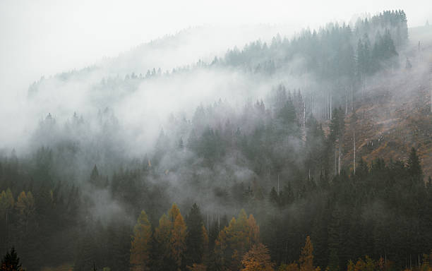 istock Misty mountain forest with autumn trees and low clouds 2252290872