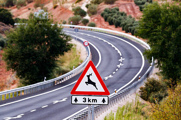 istock Deer Crossing Warning Sign on a Winding Spanish Road 2252291156