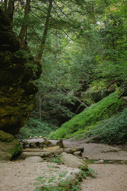 istock Shaded forest trail with rocks and logs at Turkey Run Park 2252291830