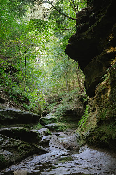 istock Rocky canyon path with moss and trees at Turkey Run State Park 2252291840