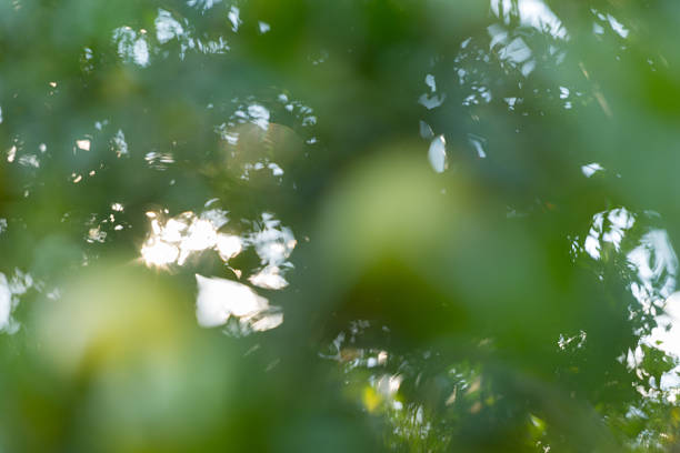 Business concept nature revolves around citrus orchard orange tree are growing, vibrant fruit organic lush leaves creating stunning background, green garden of thriving crop ripe laden with branches