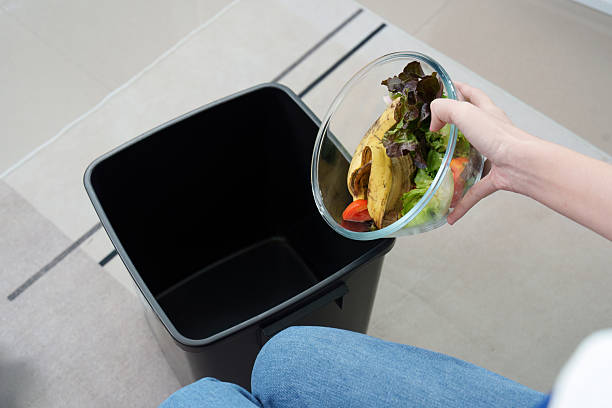 istock Waste Management: Disposing of Food Scraps Responsibly 2252300173