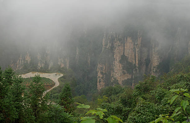 Amazing landscape of mountain and forest in the foggy at Wulingyuan, Hunan, China. Wulingyuan Scenic and Historic Interest Area which was designated a UNESCO World Heritage Site in China