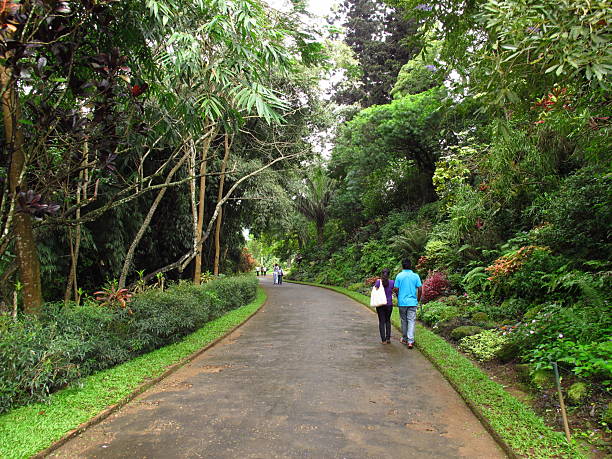 Kandy, Sri Lanka - 07 Jan 2011: Some people in Royal Botanical Gardens, Kandy, Sri Lanka