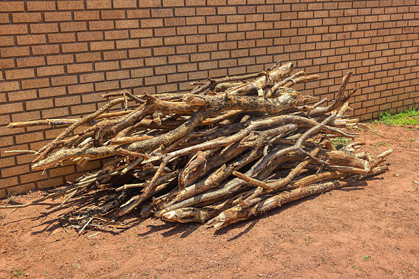 woodpile stack, large pile of assorted ,dry mopane firewood, tree branches and logs, firewood on dusty ground outdoors, next to a tan brick wall , Botswana , Africa