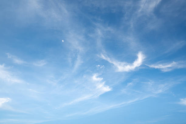 The sky is a vibrant, cloudless blue, while the sun shines brightly, making it appear even more radiant.