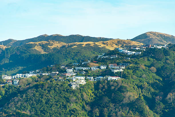 istock Residential Houses 2252318560